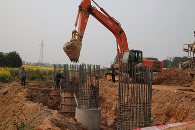 東坡區成立保障專組，為項目建設“滿血復活”注入強勁動力